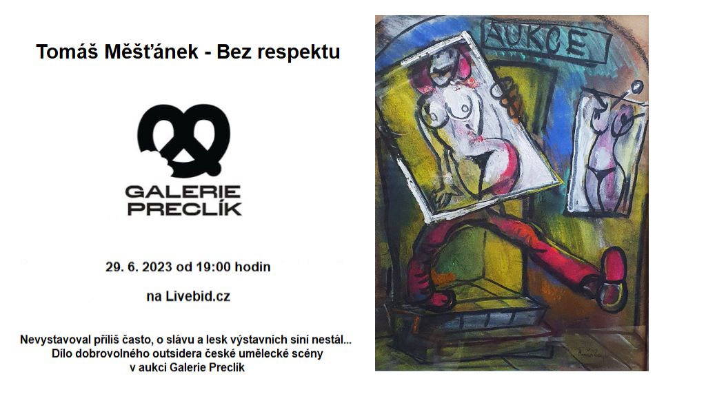 Aukce Tomáš Měšťánek - Bez respektu