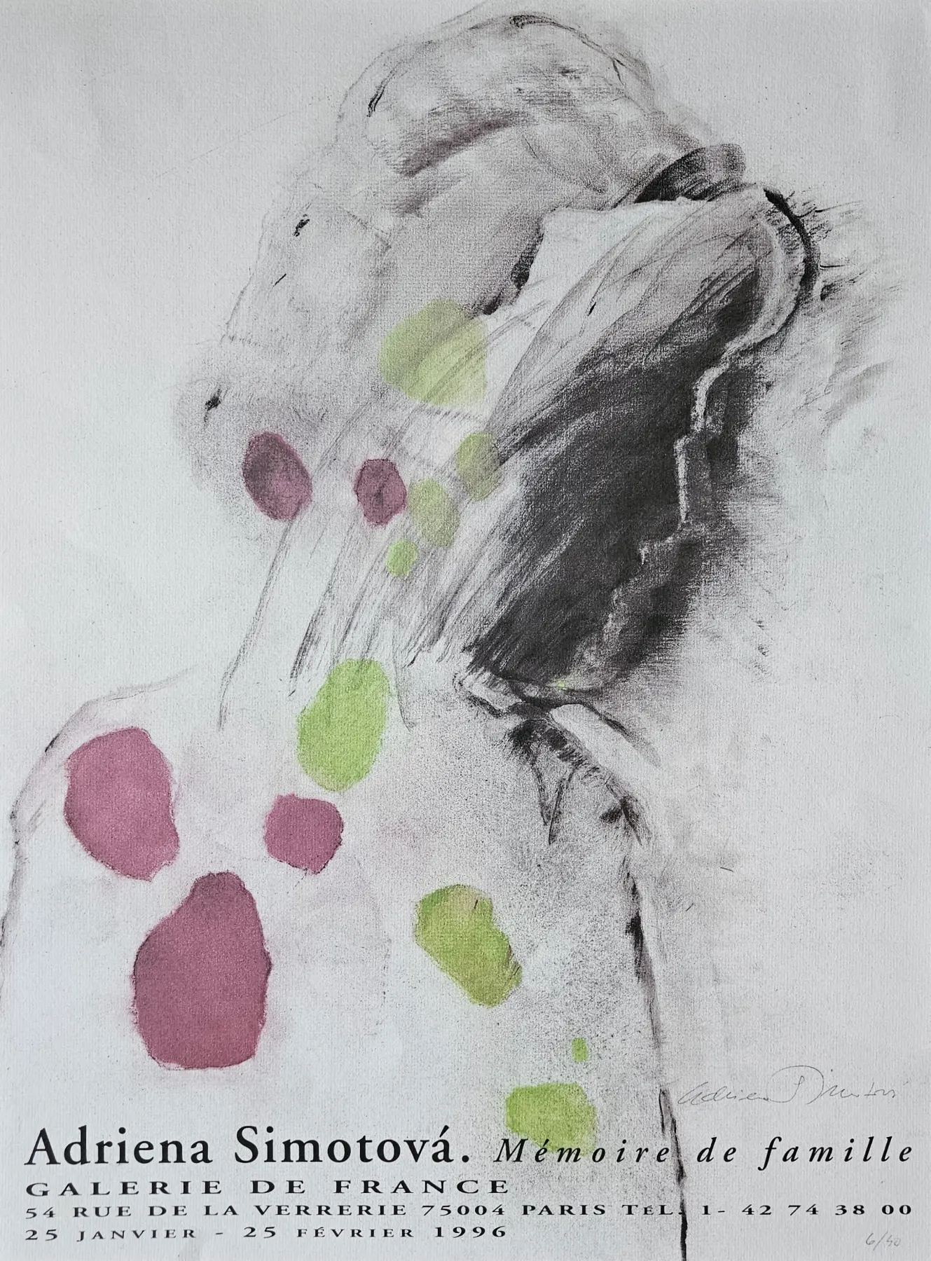 Adriena Šimotová – Mémoire de famille