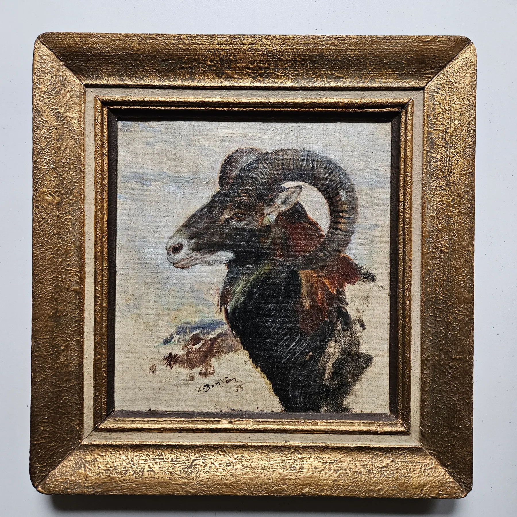 Zdeněk Burian – Muflon