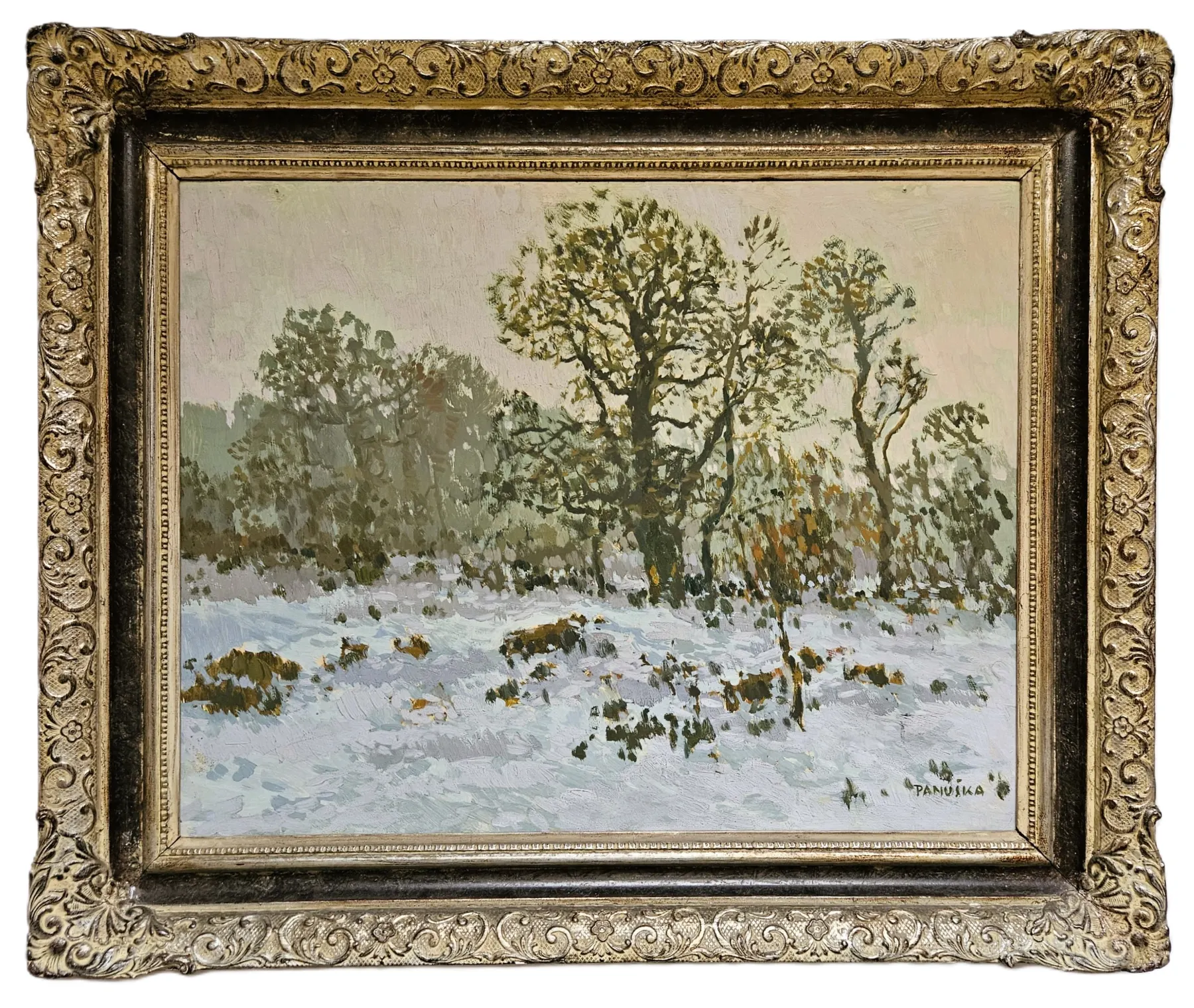 Jaroslav Panuška – Zima