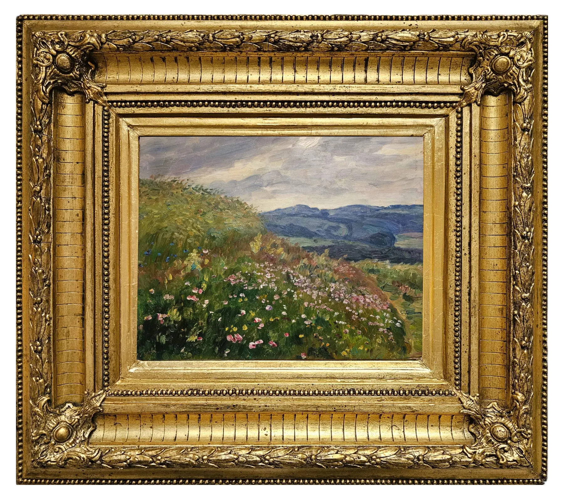František Kaván – Kvetoucí louka