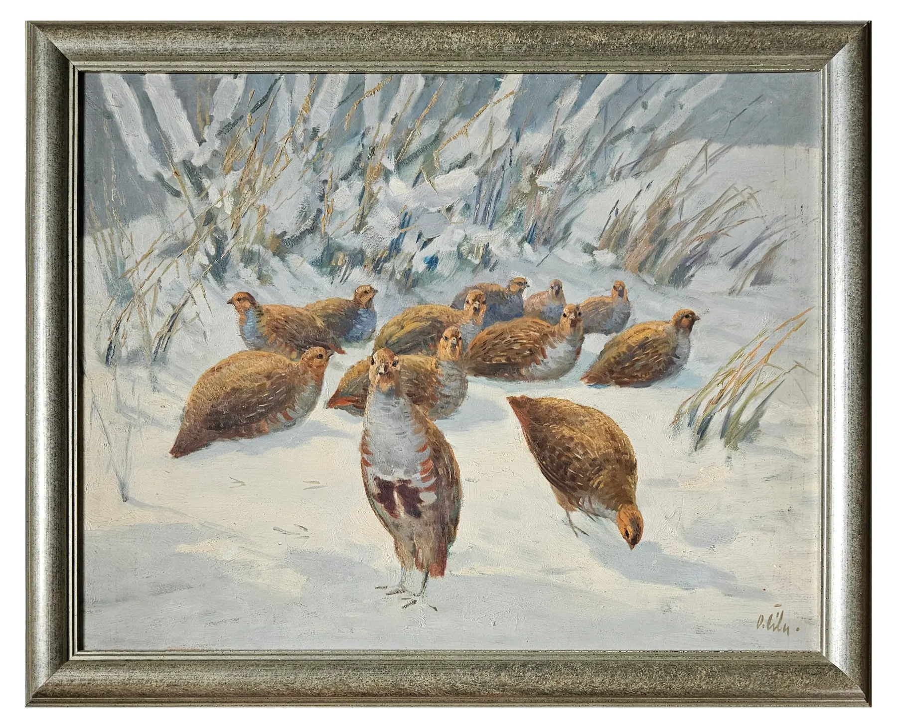 Otakar Číla – Koroptve