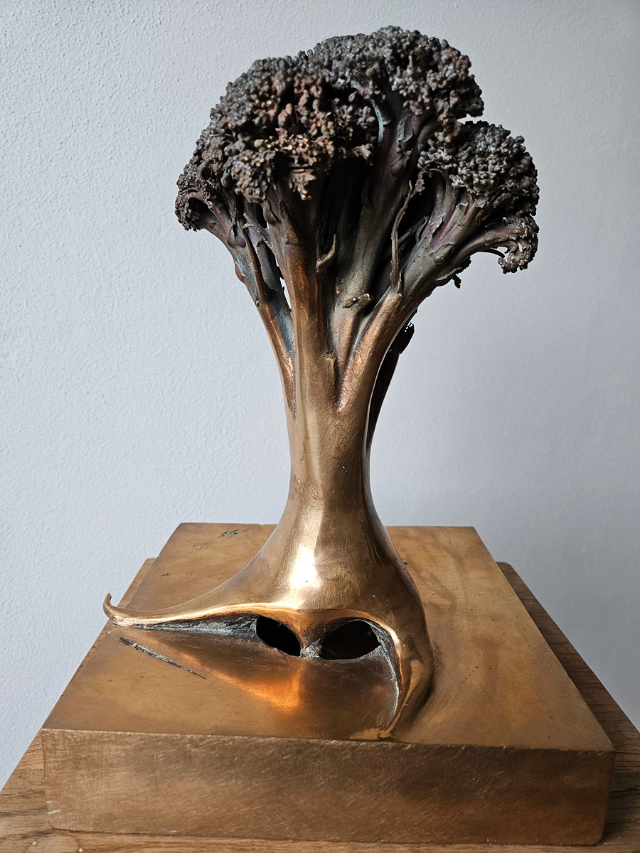 Michal Gabriel – Baobab