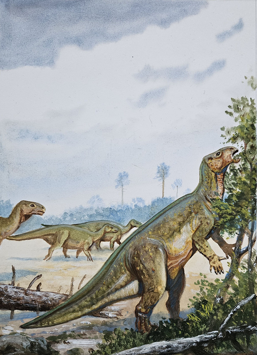 Petr Modlitba – Iguanodon