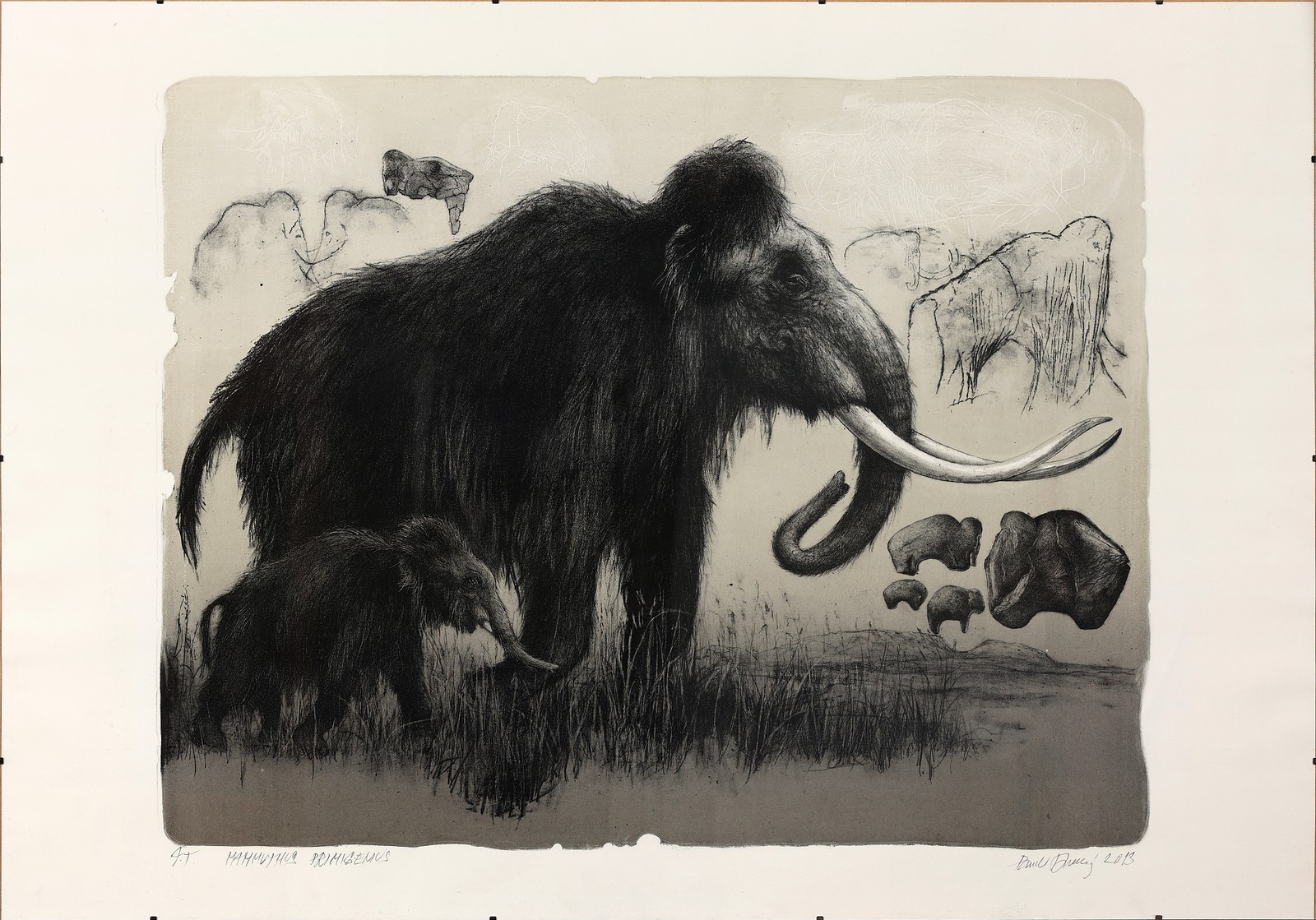 Pavel Dvorský – Mammuthus Primigenius
