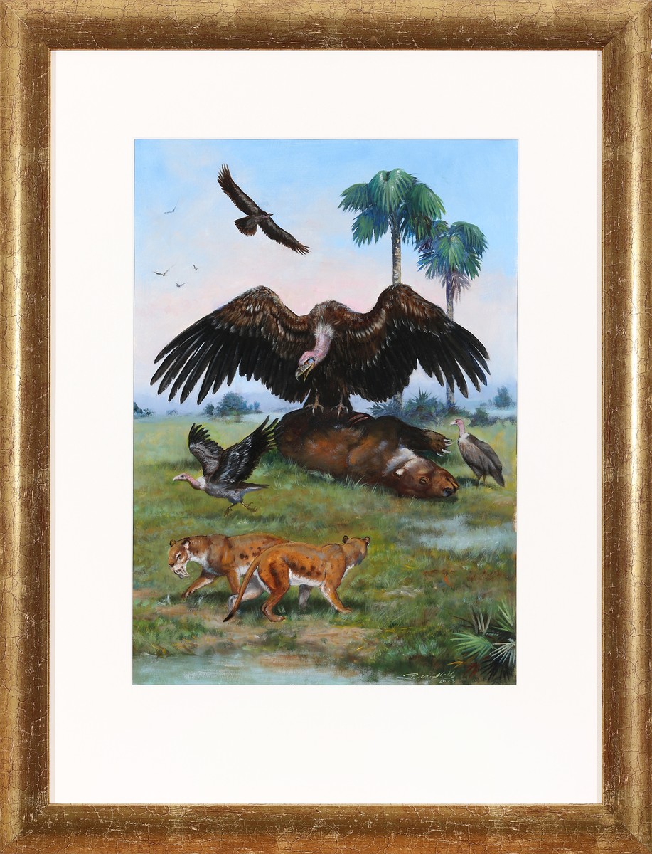 Petr Modlitba – Argentavis Magnificens