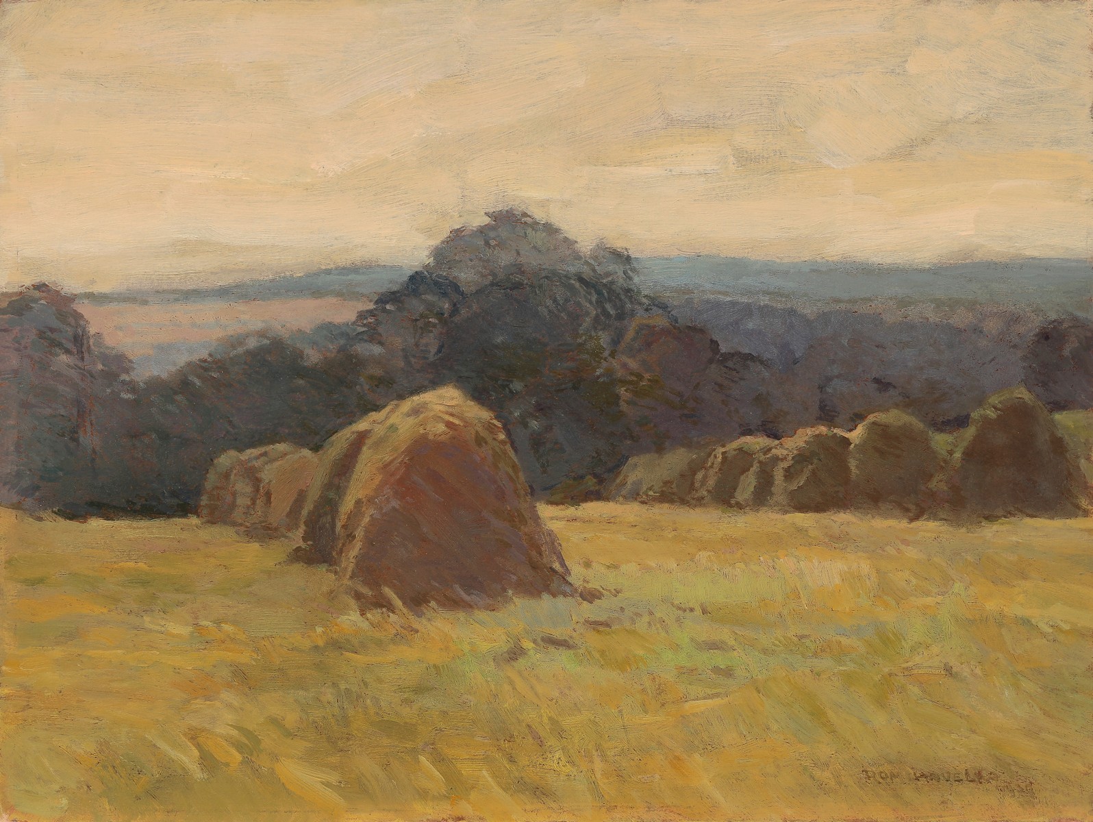Roman Havelka – Letní den