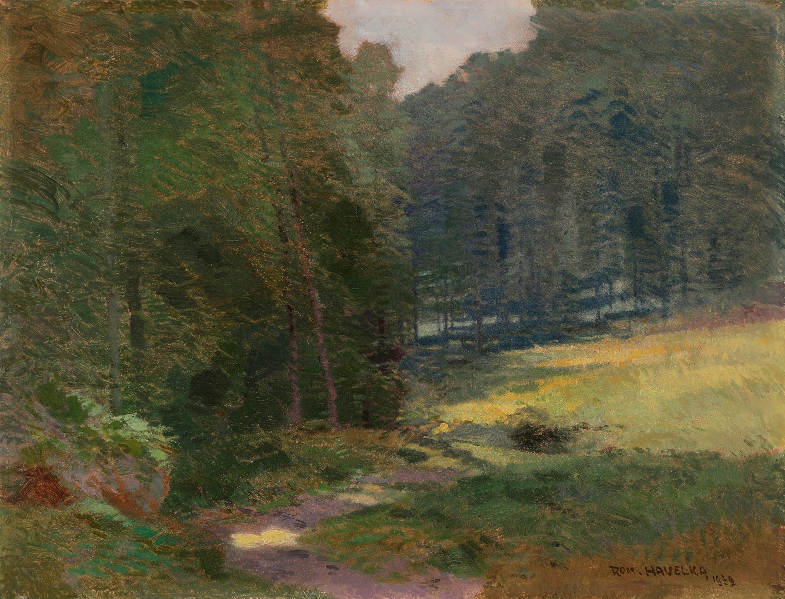 Roman Havelka – Stíny lesa