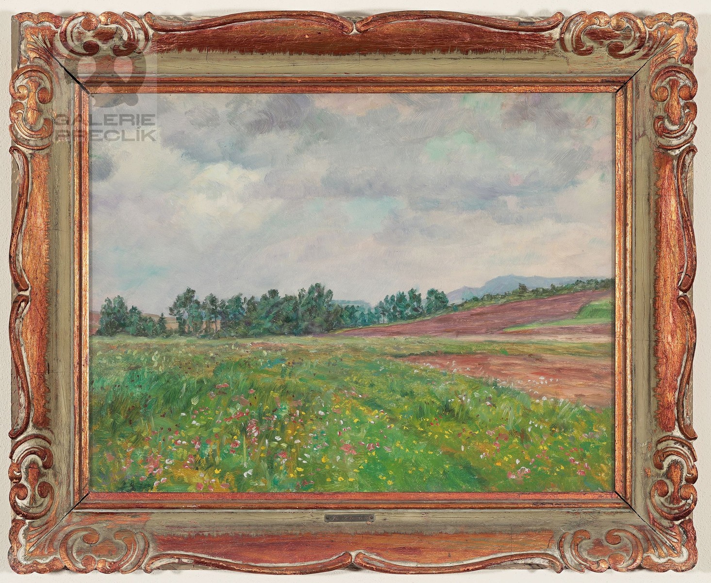 František Kaván – Kvetoucí louka
