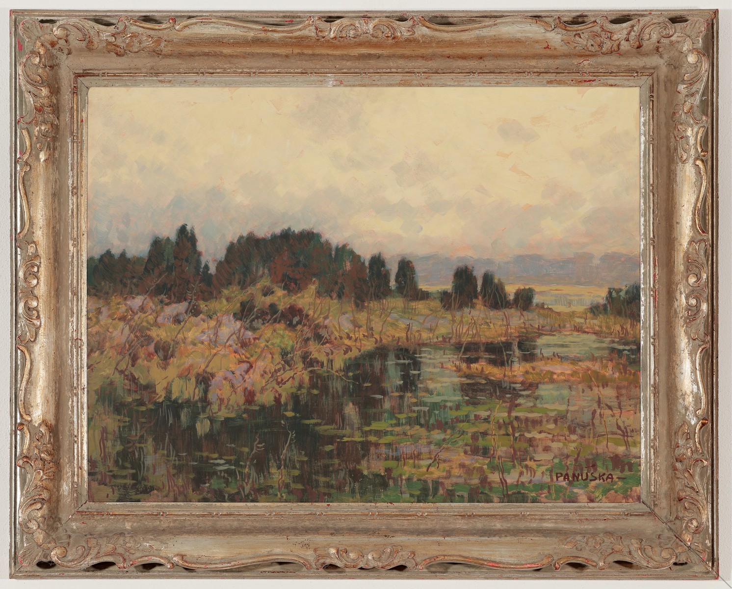 Jaroslav Panuška – Mokřina