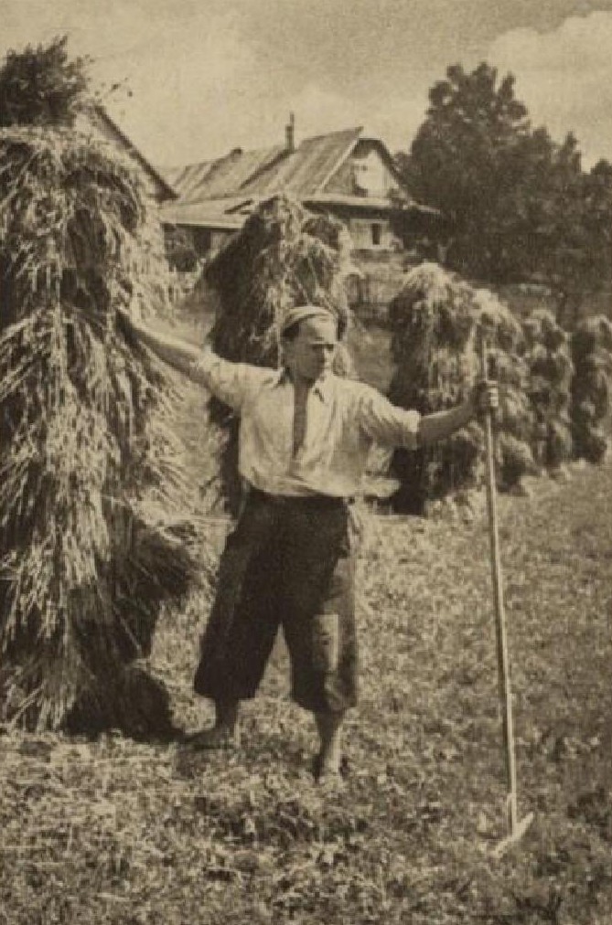 Schneiderka Alois